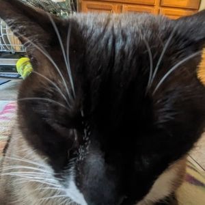 Meet your Posher, Al